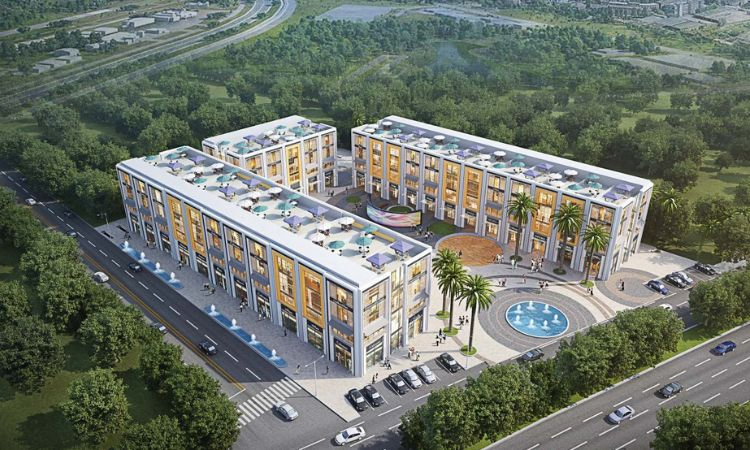 Wal Verde 92 - Image 1